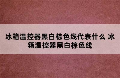 冰箱温控器黑白棕色线代表什么 冰箱温控器黑白棕色线